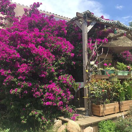 B&B Macchia Verdata Avec Piscine Monacia-d'Aullene Εξωτερικό φωτογραφία