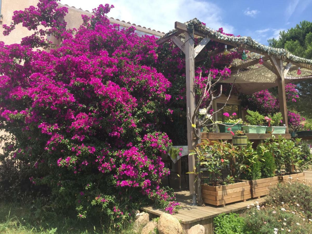 B&B Macchia Verdata Avec Piscine Monacia-d'Aullene Εξωτερικό φωτογραφία